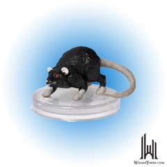 GIANT RAT #12